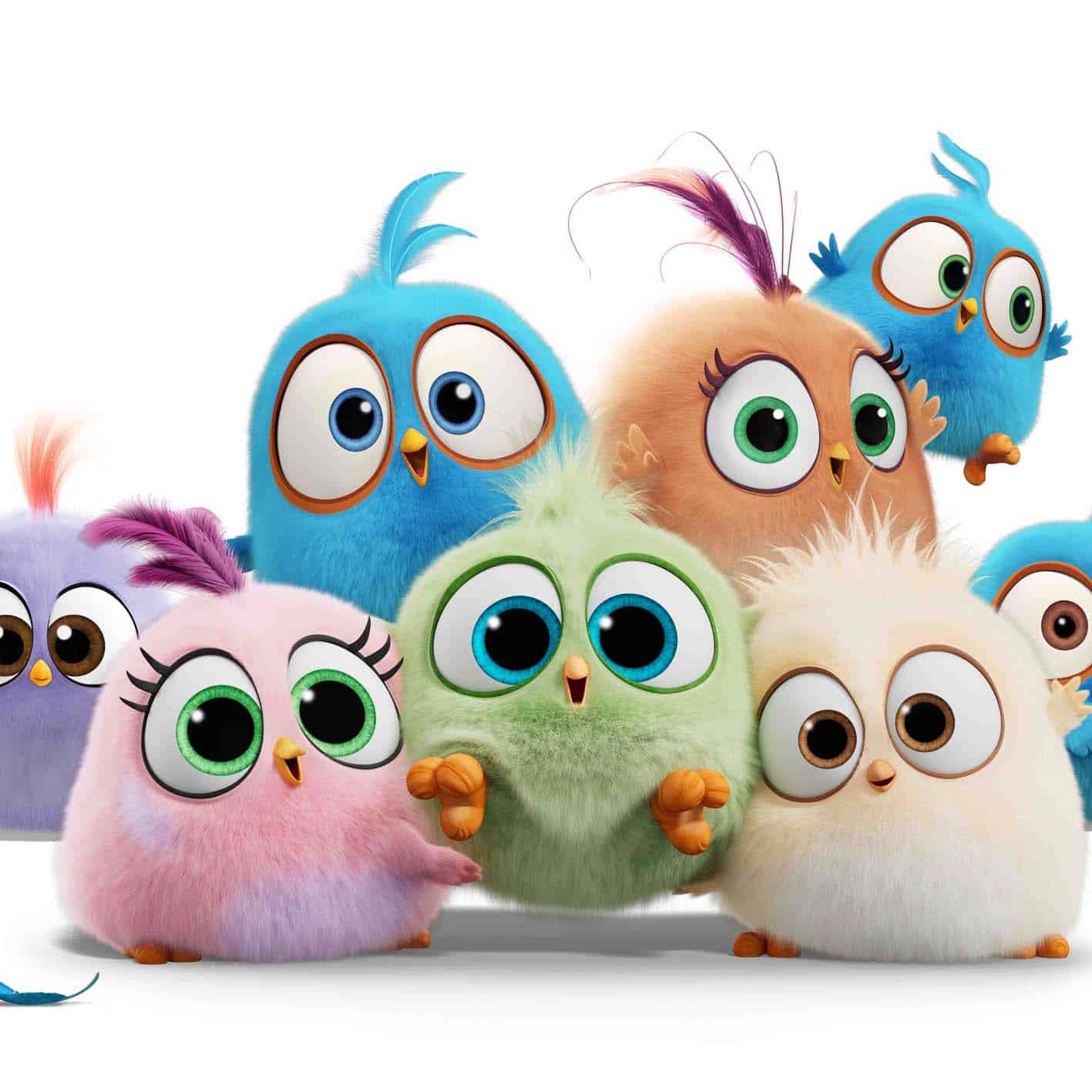Angry Birds Activity Park