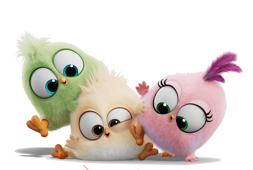 Our Flock