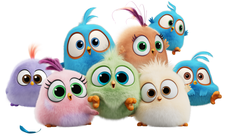 Colorful cartoon fluffy birds with big eyes on a white background.